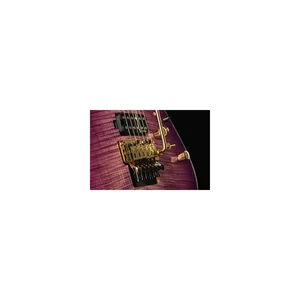 Harley Benton Guitar MAX Fusion Signa w/Case