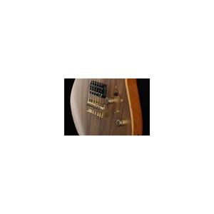 Harley Benton Guitar MAX Fusion Signa w/Case