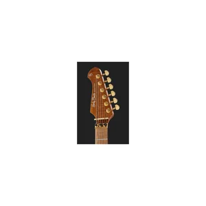 Harley Benton Guitar MAX Fusion Signature EF