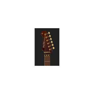 Harley Benton Guitar MAX Fusion Signature PF
