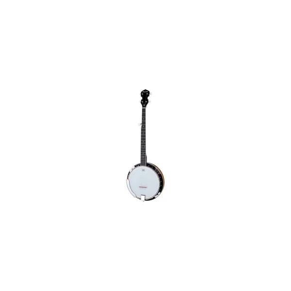 Harley Benton HBJ-25 w/Bag
