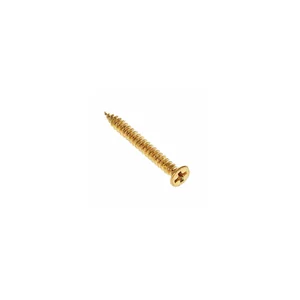 Harley Benton Humbucker Frame Screw Set B GD