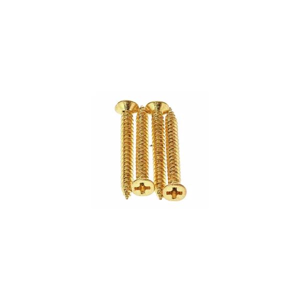 Harley Benton Humbucker Frame Screw Set B GD