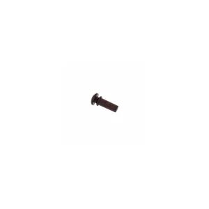 Harley Benton Parts Bridgepin Set TL Plain