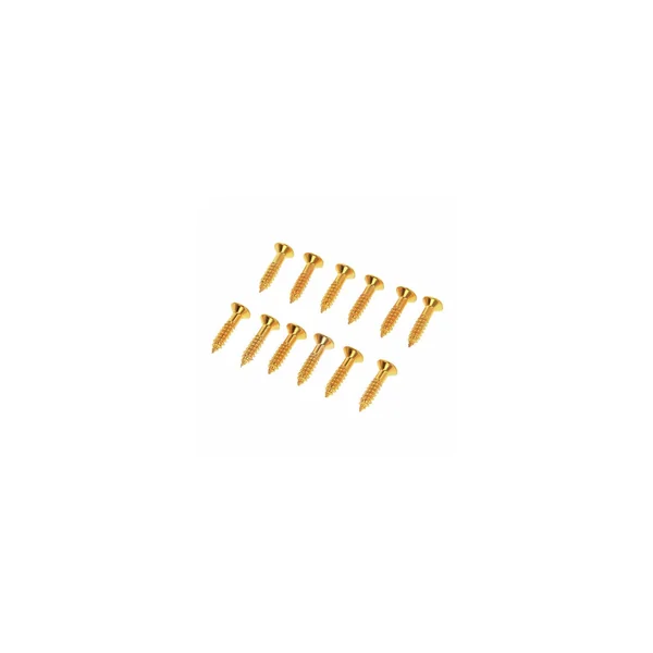 Harley Benton Parts Pickguard Screws Gold