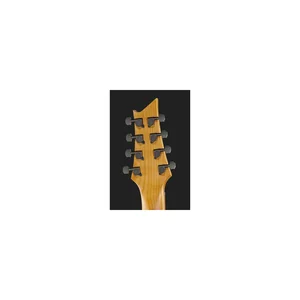 Harley Benton R-458FFB Roasted MultiScale