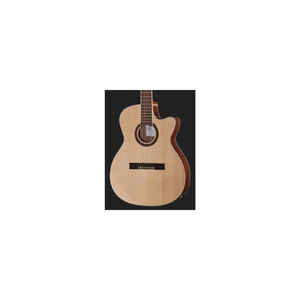 Harley Benton Santos Series C-40SCE N w/Bag