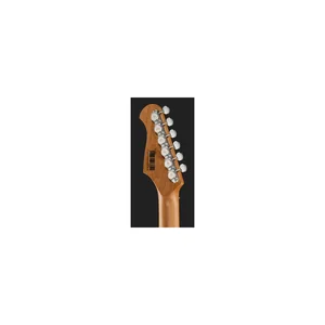 Harley Benton ST-Modern HSS LPB