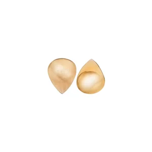 Harley Benton Woodstone Picks Transp Horn