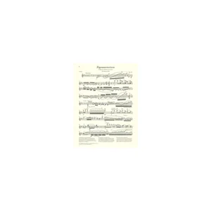 Henle Verlag Sarasate Zigeunerweisen op.20