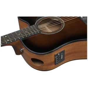 Ibanez AAD51CE-DVS