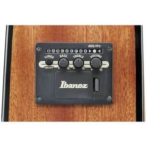 Ibanez AAD51CE-DVS