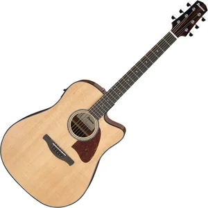 Ibanez AAD51CE-NT