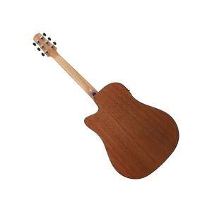 Ibanez AAD51CE-NT