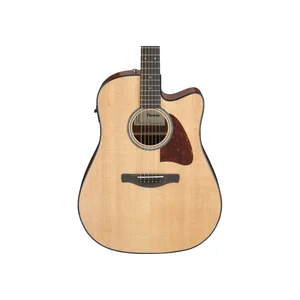 Ibanez AAD51CE-NT