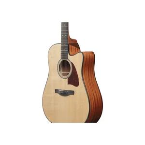 Ibanez AAD51CE-NT