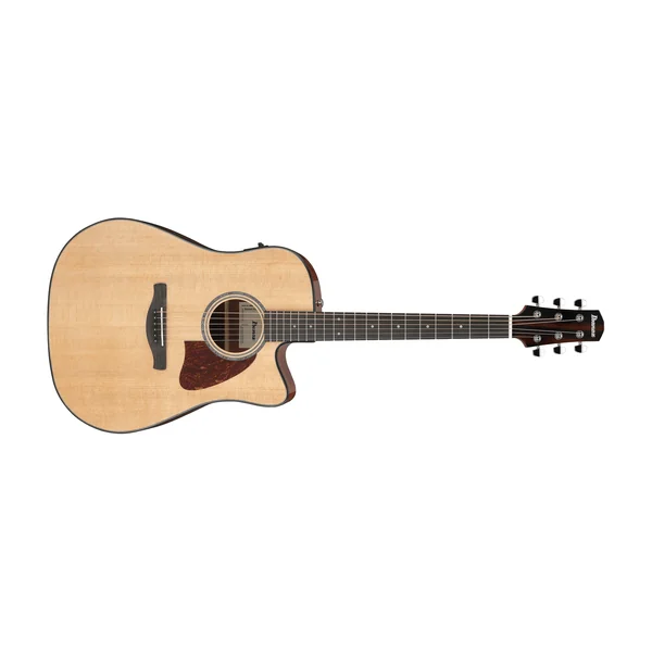 Ibanez AAD51CE-NT
