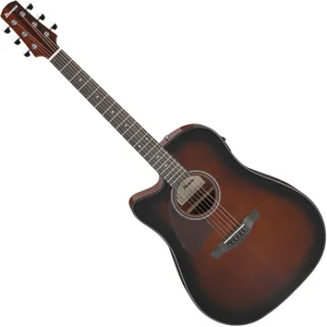 Ibanez AAD51LCE-DVS