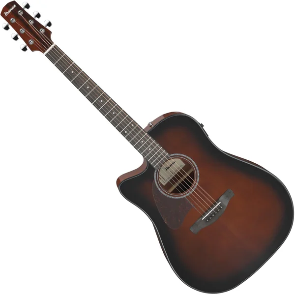 Ibanez AAD51LCE-DVS
