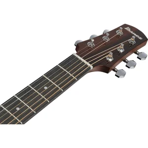 Ibanez AAD51LCE-DVS