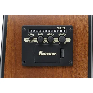 Ibanez AAD54E-OMH
