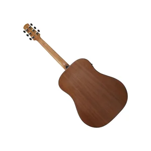Ibanez AAD54E-OMH