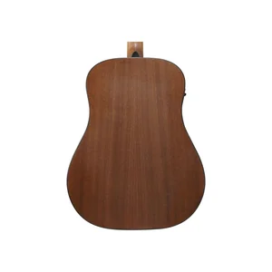 Ibanez AAD54E-OMH