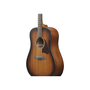 Ibanez AAD54E-OMH