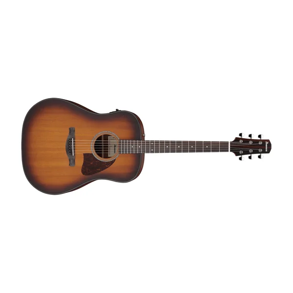 Ibanez AAD54E-OMH