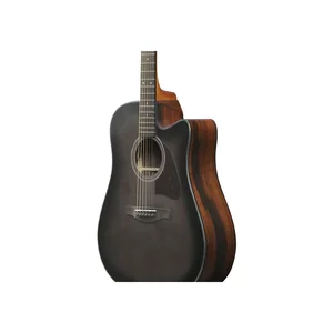 Ibanez AAD70CE-TBN