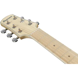 Ibanez AAD77M1E-OAW