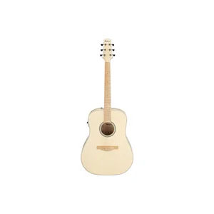 Ibanez AAD77M1E-OAW