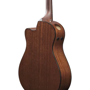 Ibanez AAM300CE-NT