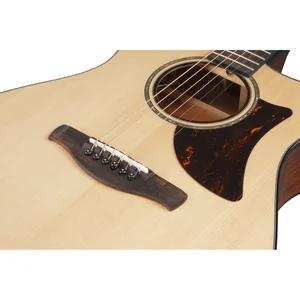 Ibanez AAM300CE-NT