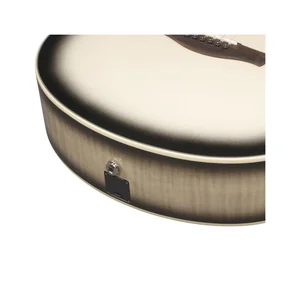 Ibanez AAM370M1CE-TPA