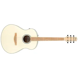 Ibanez AAM370M2E-AIB