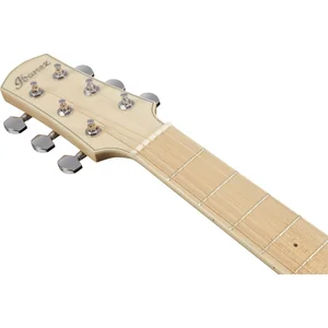 Ibanez AAM370M2E-AIB