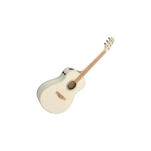 Ibanez AAM370M2E-AIB