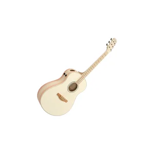 Ibanez AAM370M2E-APF