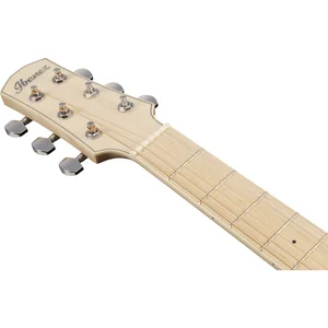 Ibanez AAM370M2E-APF