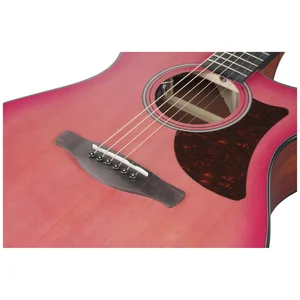 Ibanez AAM50-CE-CRO