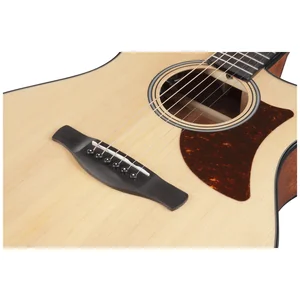 Ibanez AAM50CE-OPN