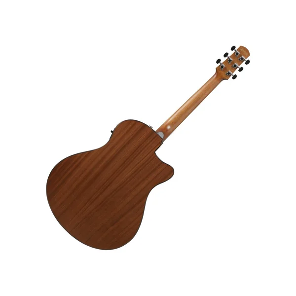Ibanez AAM50LCE-OLB