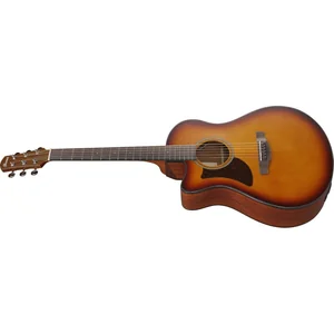 Ibanez AAM50LCE-OLB