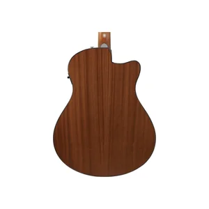 Ibanez AAM50LCE-OLB