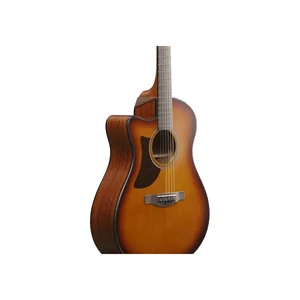 Ibanez AAM50LCE-OLB