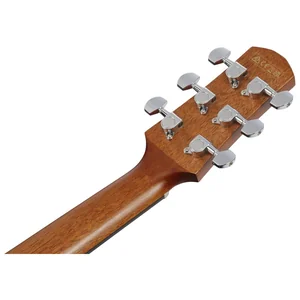 Ibanez AAM50LCE-OLB