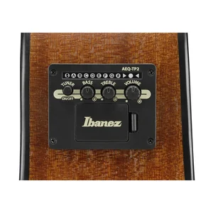Ibanez AAM50LCE-OLB