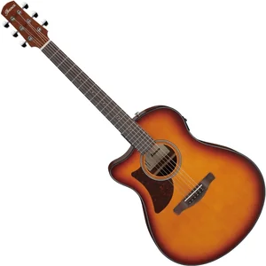 Ibanez AAM50LCE-OLB