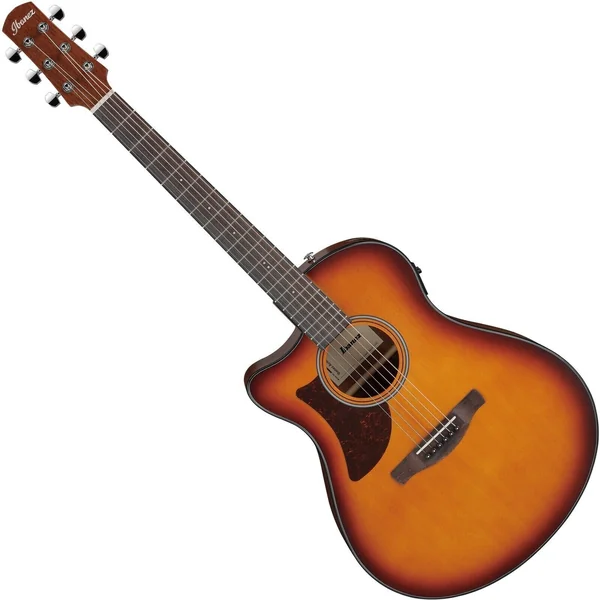 Ibanez AAM50LCE-OLB